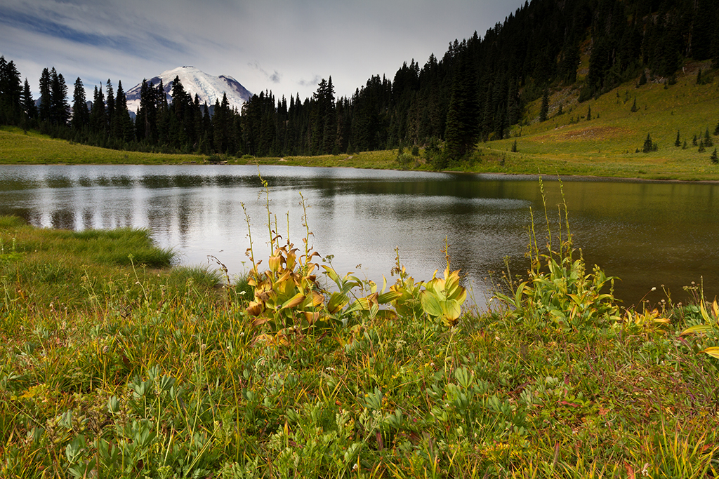 09-25 - 01.jpg - Mount Rainier National Park, WA